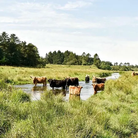 Blaesbjergvej 23 , Langelund , 7323 Prázdninový dům